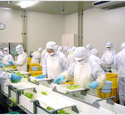 菓子製造工場内での作業スタッフ募集♪